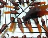 晩白柚のオランジェット RAWチョコで作り方12写真