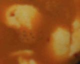 牡蠣入り豆腐チゲ作り方3写真