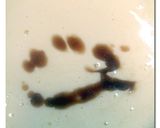 大蒜の芽 ♪ベビーホタテ♪ かき揚げ作り方4写真