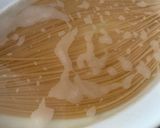 お豆のパスタでさば缶トマトスパゲッティ　作り方2写真