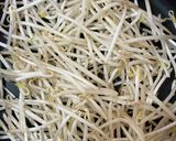 簡単もやしの麻婆麺（ZENBヌードル）作り方2写真