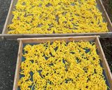 芋餅（サツマイモ）作り方3写真