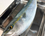 ふくらぎ（はまち）の照り焼き～魚の駅生地作り方2写真