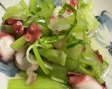 タコとセロリの甘酢和え作り方1写真