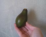 アボカド＆アボカドの葉皿作り方3写真