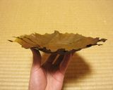 アボカド＆アボカドの葉皿作り方15写真