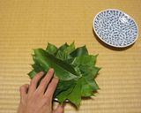 アボカド＆アボカドの葉皿作り方11写真