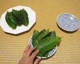 アボカド＆アボカドの葉皿作り方10写真