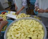 【学校給食】りんごの包み揚げ作り方1写真