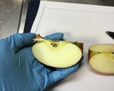 りんごのうさぎちゃん お弁当のおかず作り方3写真