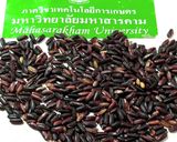 赤米のご飯☆タイのお米作り方1写真