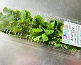 【生チョコムース】おじいさんのチョコ畑作り方12写真