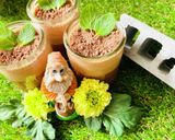 【生チョコムース】おじいさんのチョコ畑作り方16写真