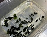 レンジで5分卵わかめうどん作り方1写真
