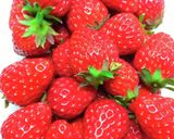 米粉活用 苺シャルロットケーキ RAW作り方13写真