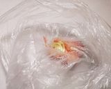 市販のパンde明太フランスパン作り方8写真