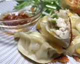 鶏チーズ餃子 発酵食品は最高作り方6写真