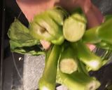 Best香港式　ガイラン　芥蓝 中華野菜作り方1写真