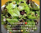 焼肉屋さんのサニーレタスサラダ作り方5写真