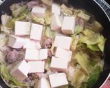 簡単★豚肉とキャベツと豆腐のうどん煮込み作り方2写真