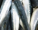鰯（いわし）のつみれ作り方1写真