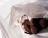 レンジ3分！チョコスノーボール風クッキー作り方5写真
