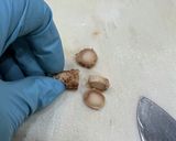 具だくさんの白和え作り方10写真