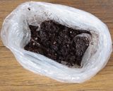 ☆簡単☆ココアクッキーバナナチーズケーキ作り方1写真