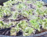 磯の風味絶品・あおさ海苔の天ぷら作り方7写真