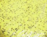 南瓜のチーズケーキ＊薩摩芋のチーズタルト作り方8写真