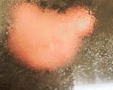 クマさんのハンバーグ作り方9写真