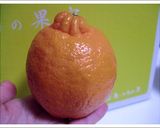 ポンカンピール作り方1写真