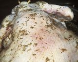 丸鶏の詰め物焼き作り方13写真