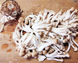 しめじ 玉ねぎの 洋風 炊き込みご飯✾作り方1写真