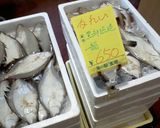 カレイの煮付け～魚の駅生地～作り方1写真
