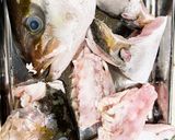 釣ってきたカンパチでアラ汁作り方4写真