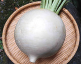 【野菜ソムリエ】聖護院だいこんのすき煮風作り方6写真