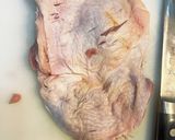鶏のあっさり照り焼き丼作り方1写真