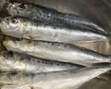 いわしの丸干し梅にんにく生姜煮作り方1写真