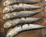 いわしの丸干し梅にんにく生姜煮作り方7写真
