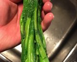 菜の花のおひたし作り方9写真