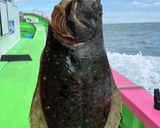 釣ってきたヒラメのチーズ焼き作り方1写真