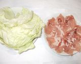 豚肉生姜焼き♪簡単胃腸が弱い方におすすめ作り方1写真