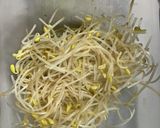 簡単もやしと胡瓜のナムル作り方1写真