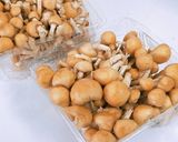 鶏皮なめこ みぞれ汁作り方4写真