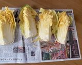 おうちで本格簡単キムチ　あみの塩辛無し作り方1写真