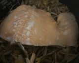 塩鮭とゴボウの炊き込みご飯作り方4写真