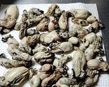 牡蠣のオイル漬けスモーク作り方7写真