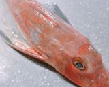 ほうぼうの昆布〆~魚の駅生地~作り方2写真