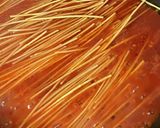 ちょっとロゼな『おこげパスタ』作り方5写真
